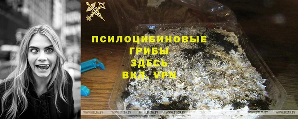 2c-b Горно-Алтайск