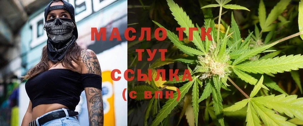 2c-b Горно-Алтайск