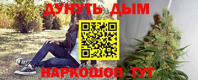 мдпв Донецк