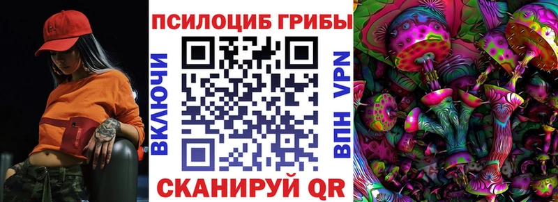 закладка Наро-Фоминск hydra как зайти Галлюциногенные грибы Psilocybe
