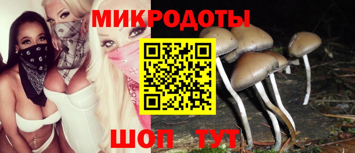 Галлюциногенные грибы мицелий  Галлюциногенные грибы Psilocybine cubensis  Наро-Фоминск 